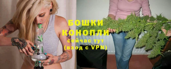 метадон Няндома